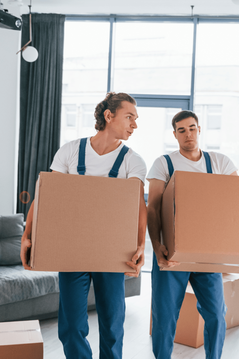 long distance movers tampa
