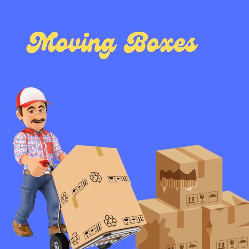 Choosing Moving Boxes for Tampa Relocation